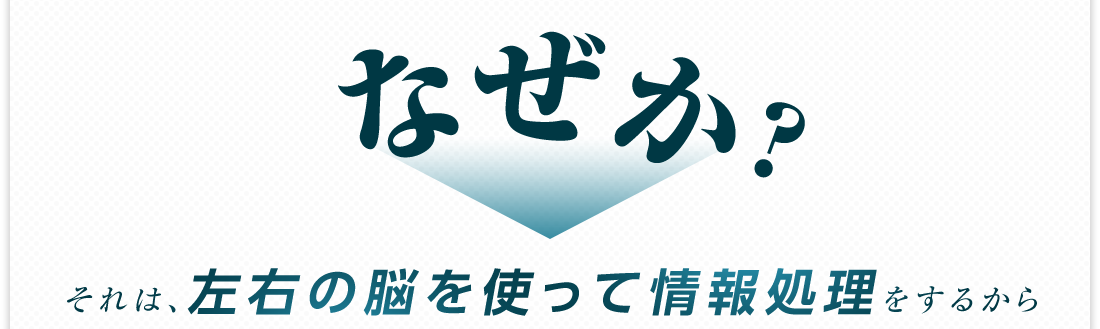 なぜか？それは、左右の脳を使って情報処理をするから